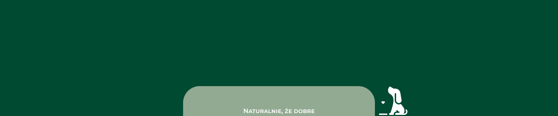Banner główny